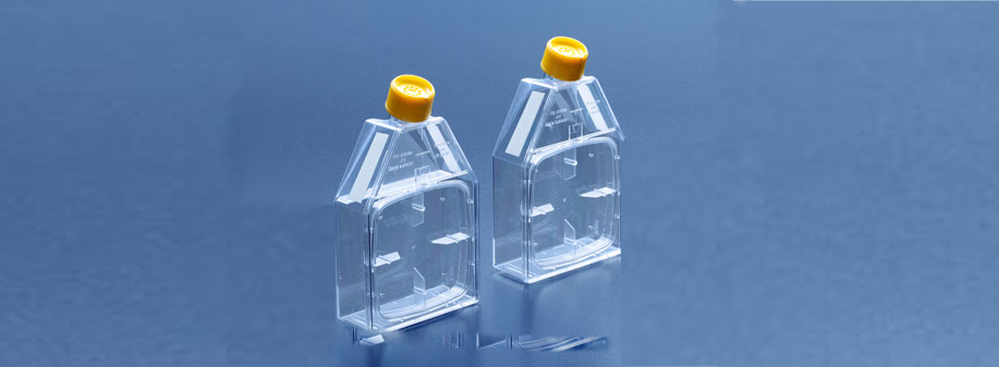 A bottle for cell culture with a lid 115cm2