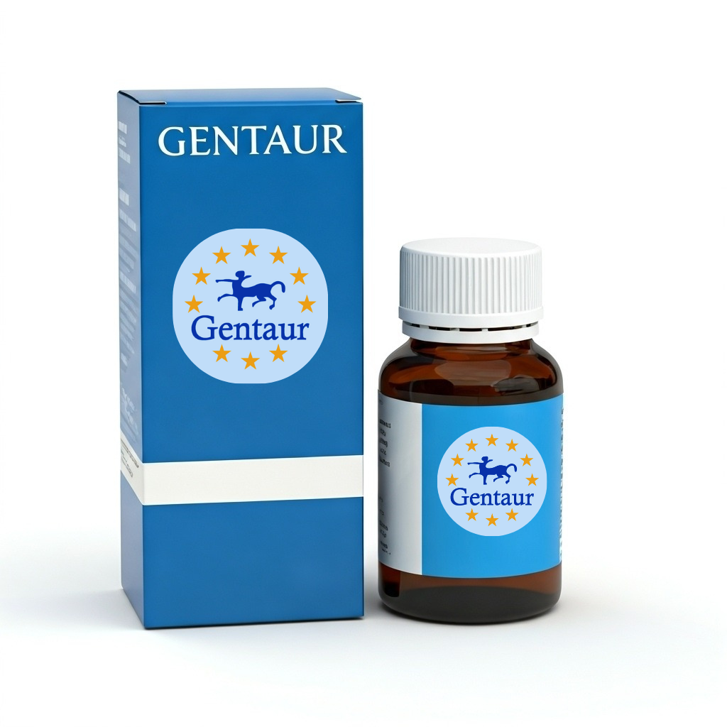  Library Quantification Kit 