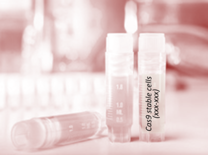 [SA-252CELL-185] Cas9 Stable Cell Line (HCT116)