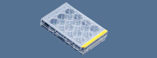 [SK-FEM1B-98] Test plates for cell culture 12 holes
