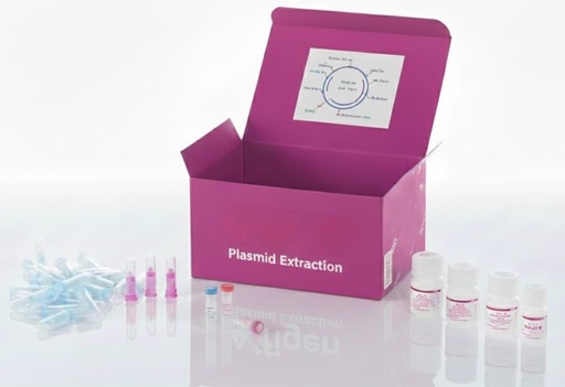 [FALZ2094] FavorPrep™ Lysozyme Solution